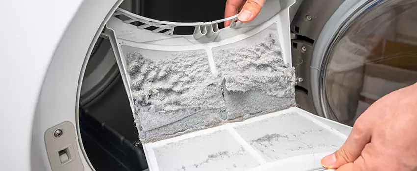 Best Dryer Lint Removal Company in The Crossings, Florida