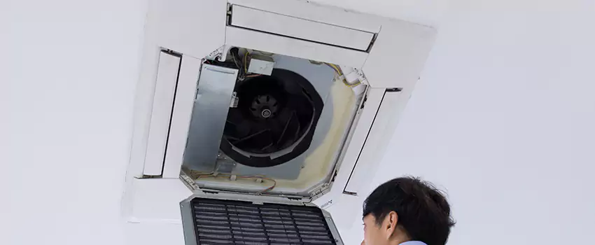Benefits of Professional Air Duct Cleaning in The Crossings, Florida